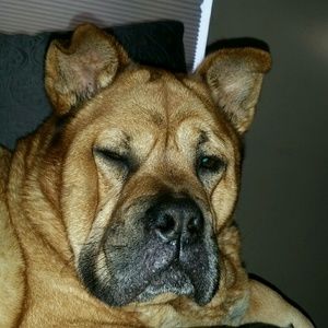 Meet your Posher, Tracy